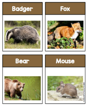 printable forest animal pictures