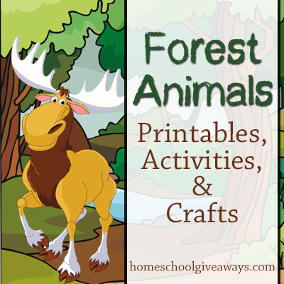 printable forest animal pictures