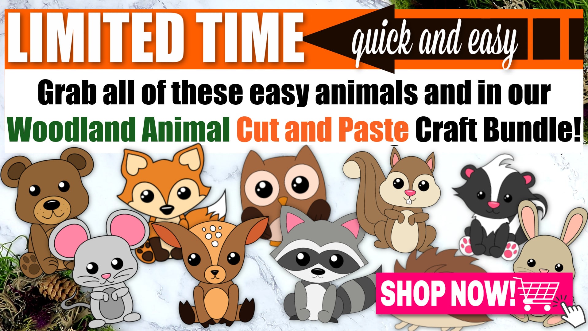 printable forest animal pictures