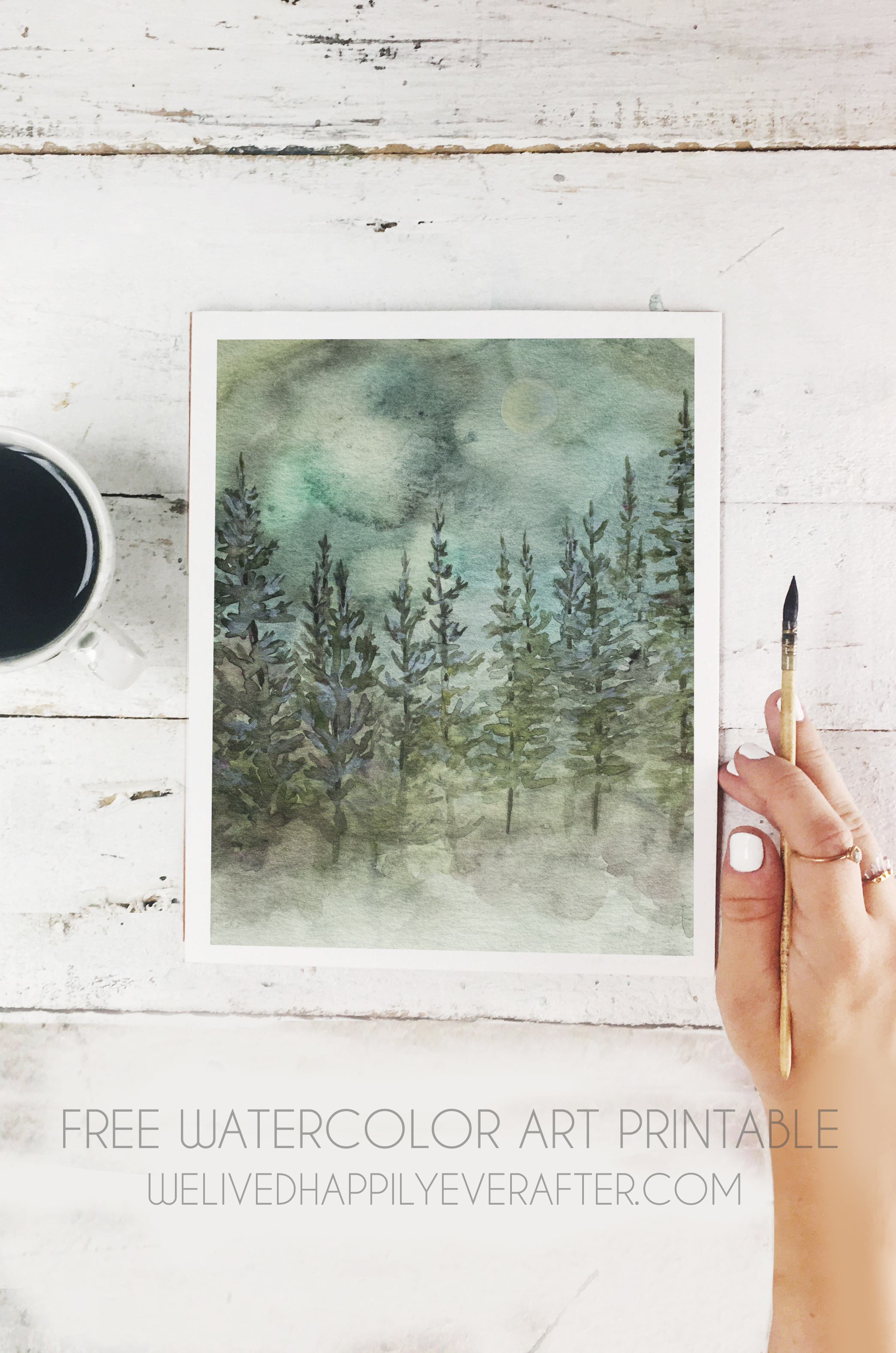 Forest scenery coloring page printable for kids