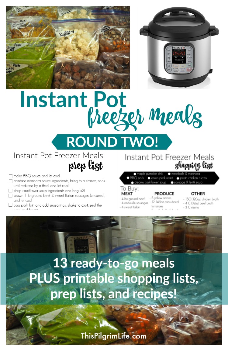 Instant Pot Freezer Meals :: Round Two - This Pilgrim Life