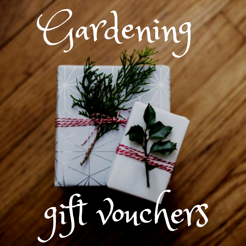 Gift Voucher (to print or Email) - £50 - Plews Garden Design