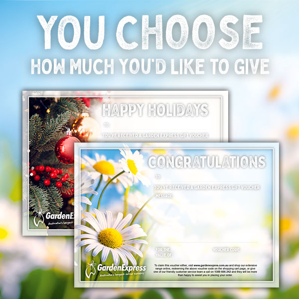 Garden Express Gift Voucher - Garden Express - Online Nursery