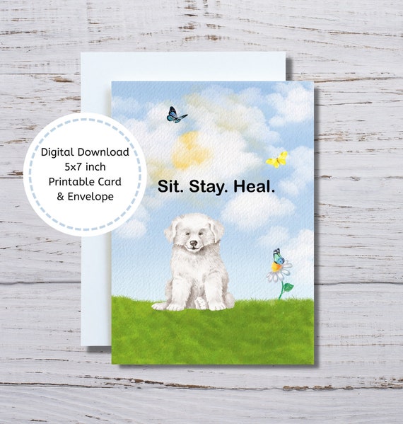 printable get well cards dogs
