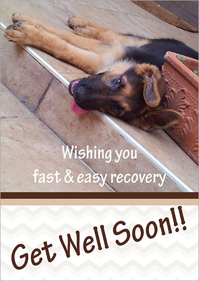 printable get well cards dogs