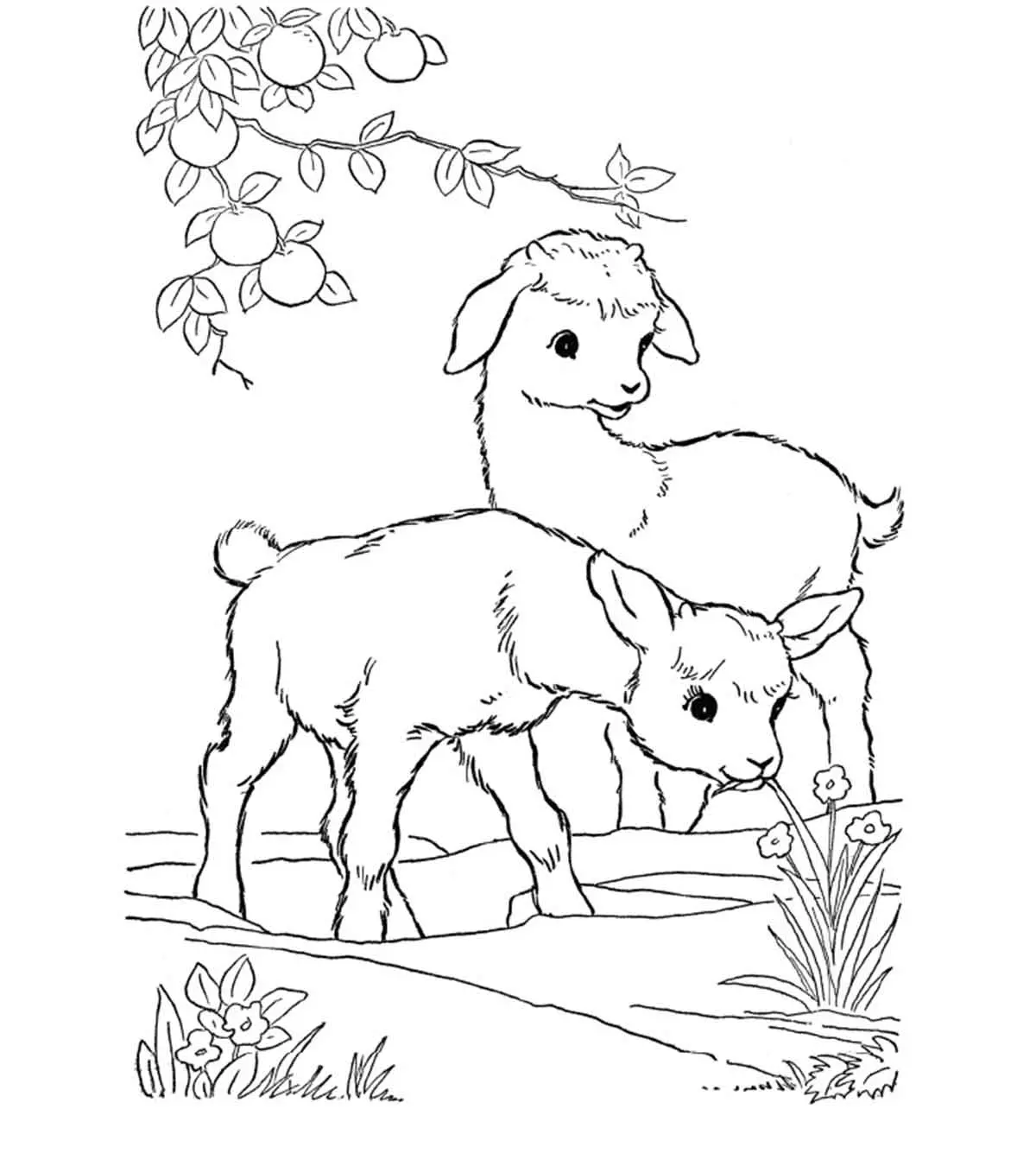printable goat pictures