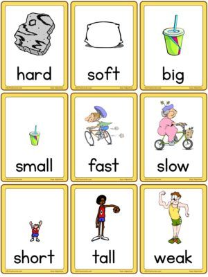 Action Flashcards - Set D - ESL Flashcards