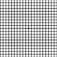 printable graph paper for visually impaired students