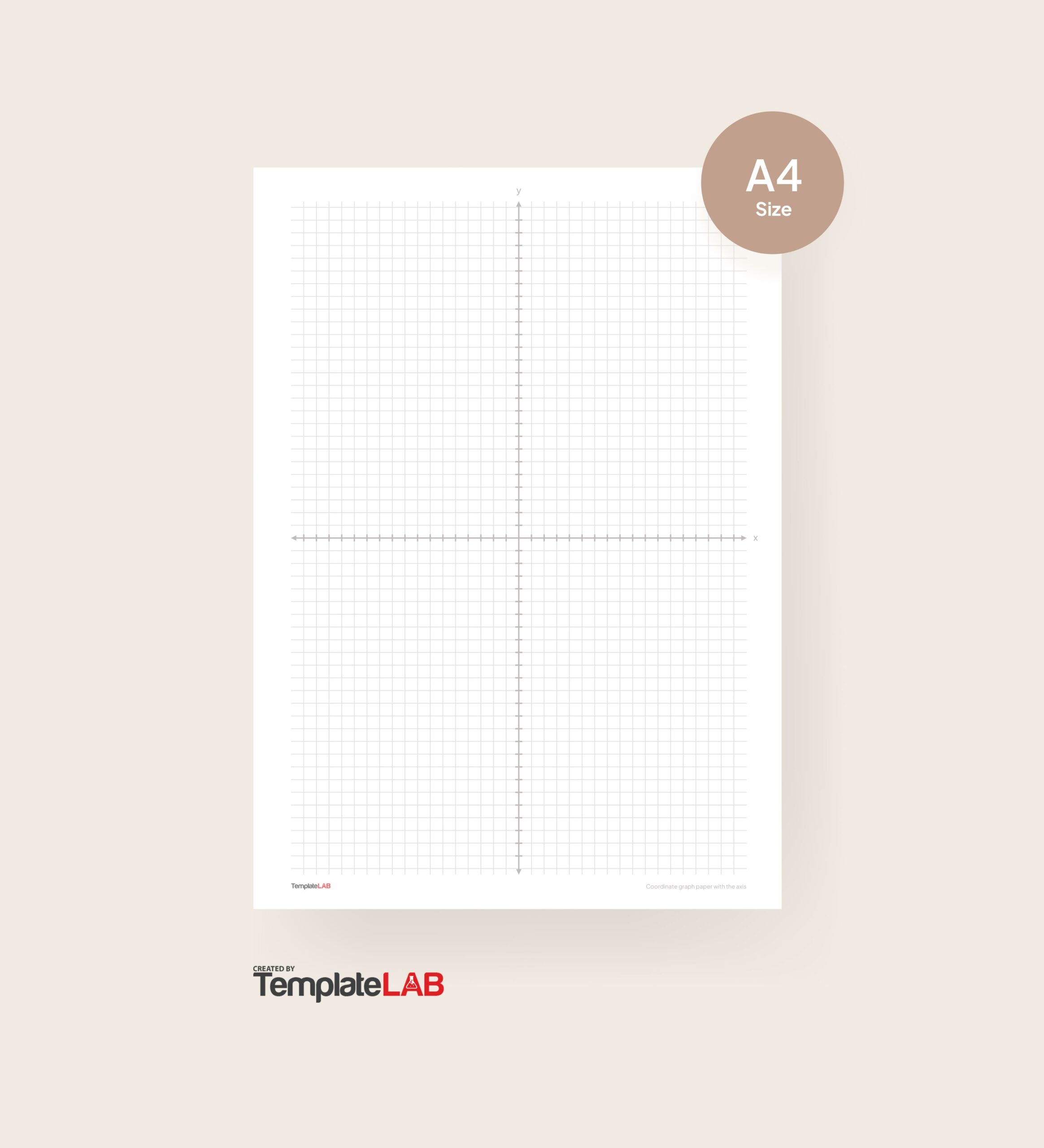 Axis Graph Paper - WorksheetWorks.com