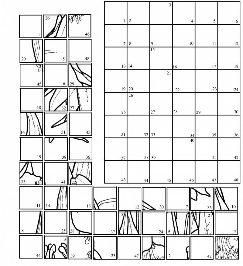 Drawing Techniques - Grids - Artistcoveries