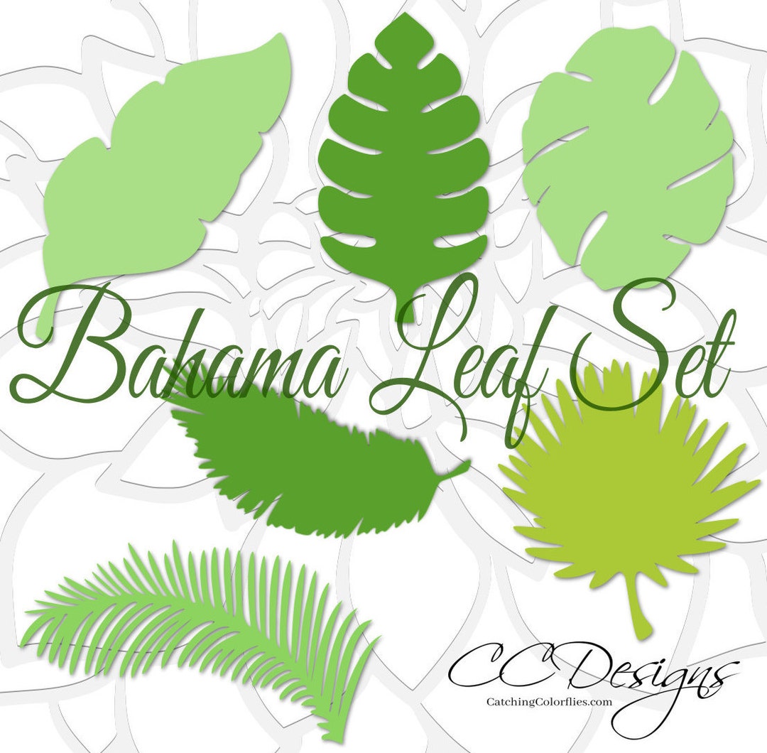 Large Paper Leaf Templates, Tropical Leaf SVG Cut Files, Large ...