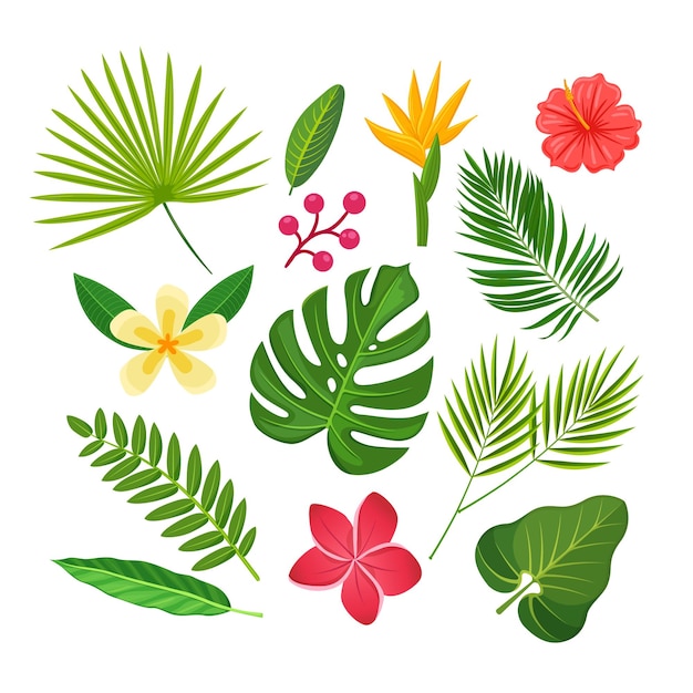 Premium Vector | Collection of tropical plants and flowers