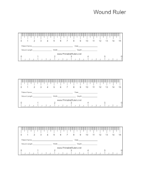 Eyebrow Disposable Ruler 50 Piece — Beso Beauty School