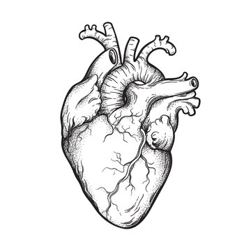 Vintage Heart Tattoo-Bilder: Stock-Fotos &  -Videos. | Adobe Stock