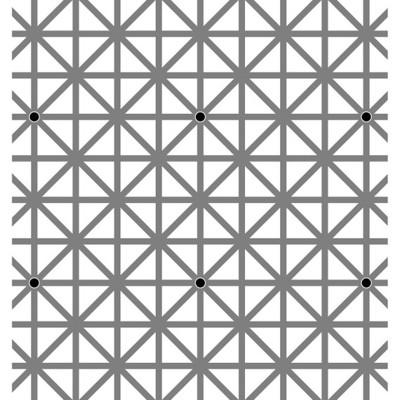 The Hermann Grid Dot Optical Illusion 12 Dot Illusion Optical ...