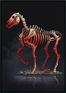 Skeleton - Horse - 01