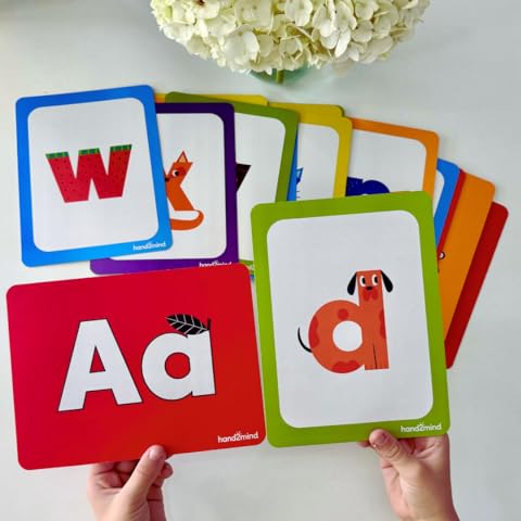 Amazon.com: Hesi Flash Cards