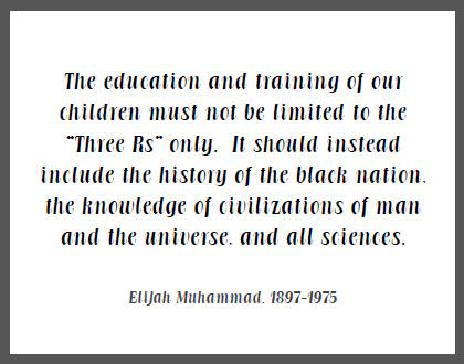 Black History Quotes - Classroom Doodles