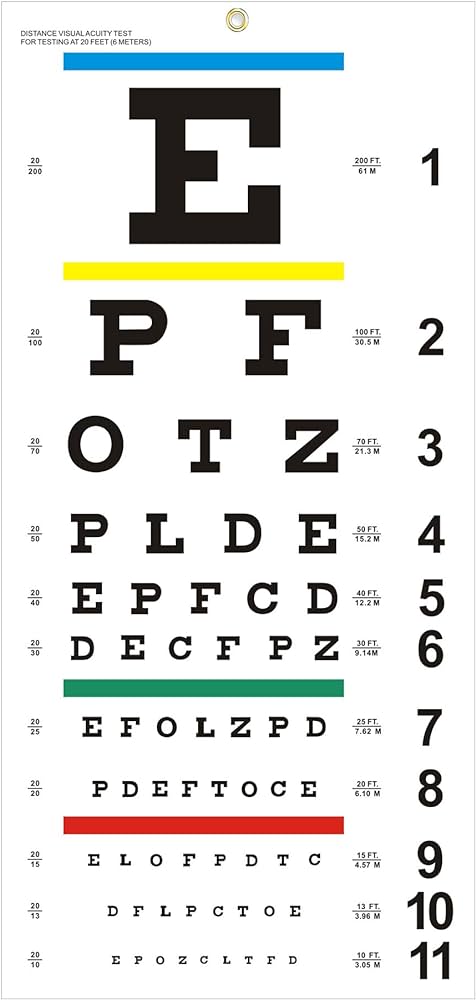 Eye Chart, Upgraded Snellen Eye Chart for Eye Exams 20 Feet, 22x11 Inches  Plastic Low Vision Eye Charts Wall Chart with Metal Eyelet for Kids Gifts  ...