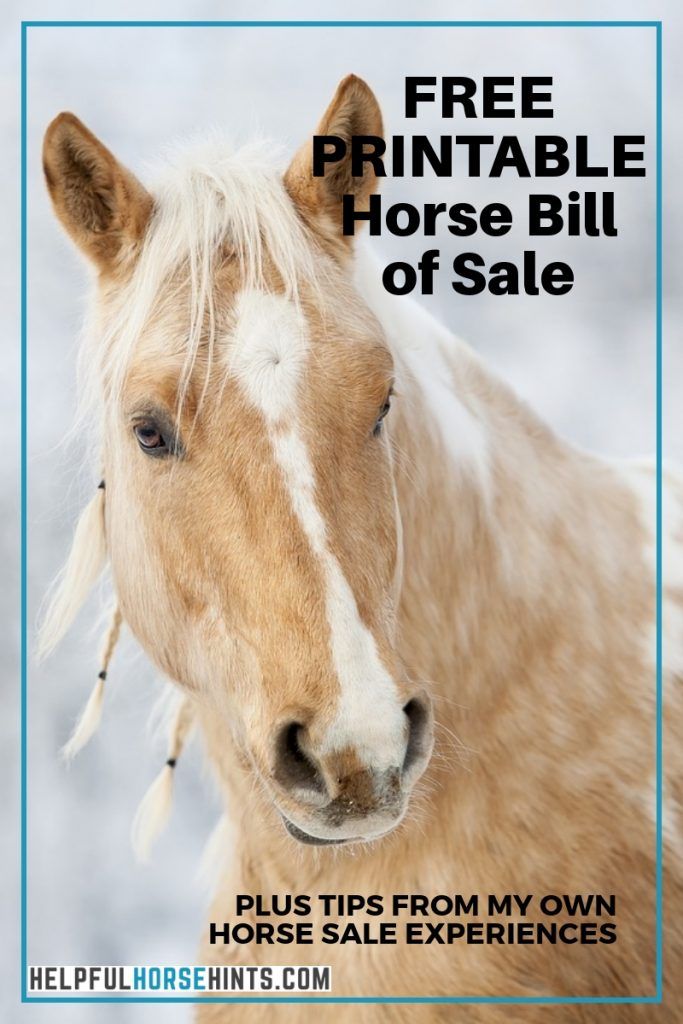 printable horse bill of sale form