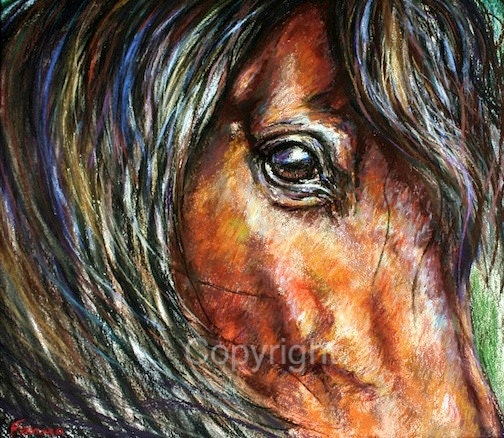The Eye of the Horse Canvas Print • Iceland Close-Up