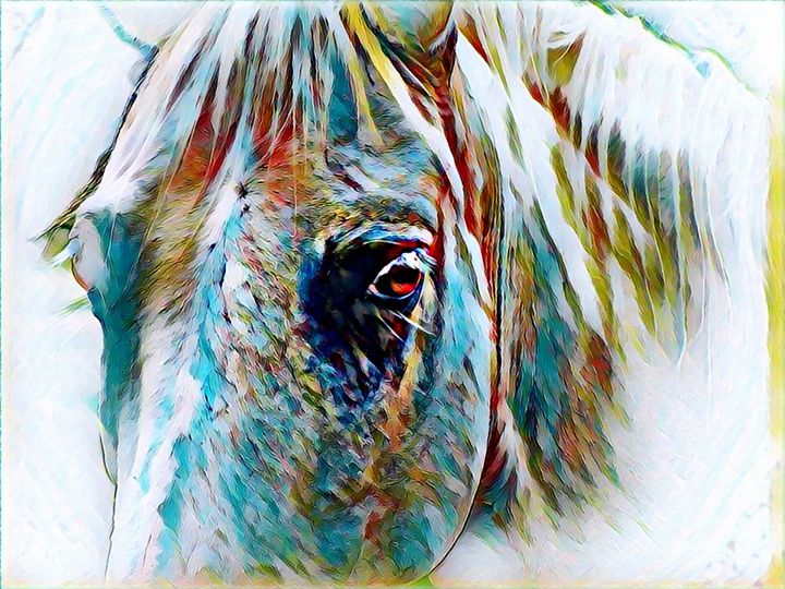 printable horse eyes