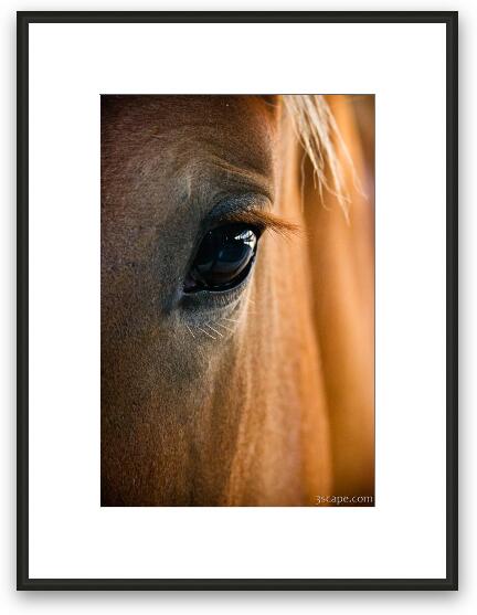 Glow in the Dark Canvas Wall Art Print, Horse Eyes