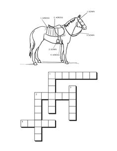 27 Quiz sheets ideas | horse lessons, horse camp, riding lessons