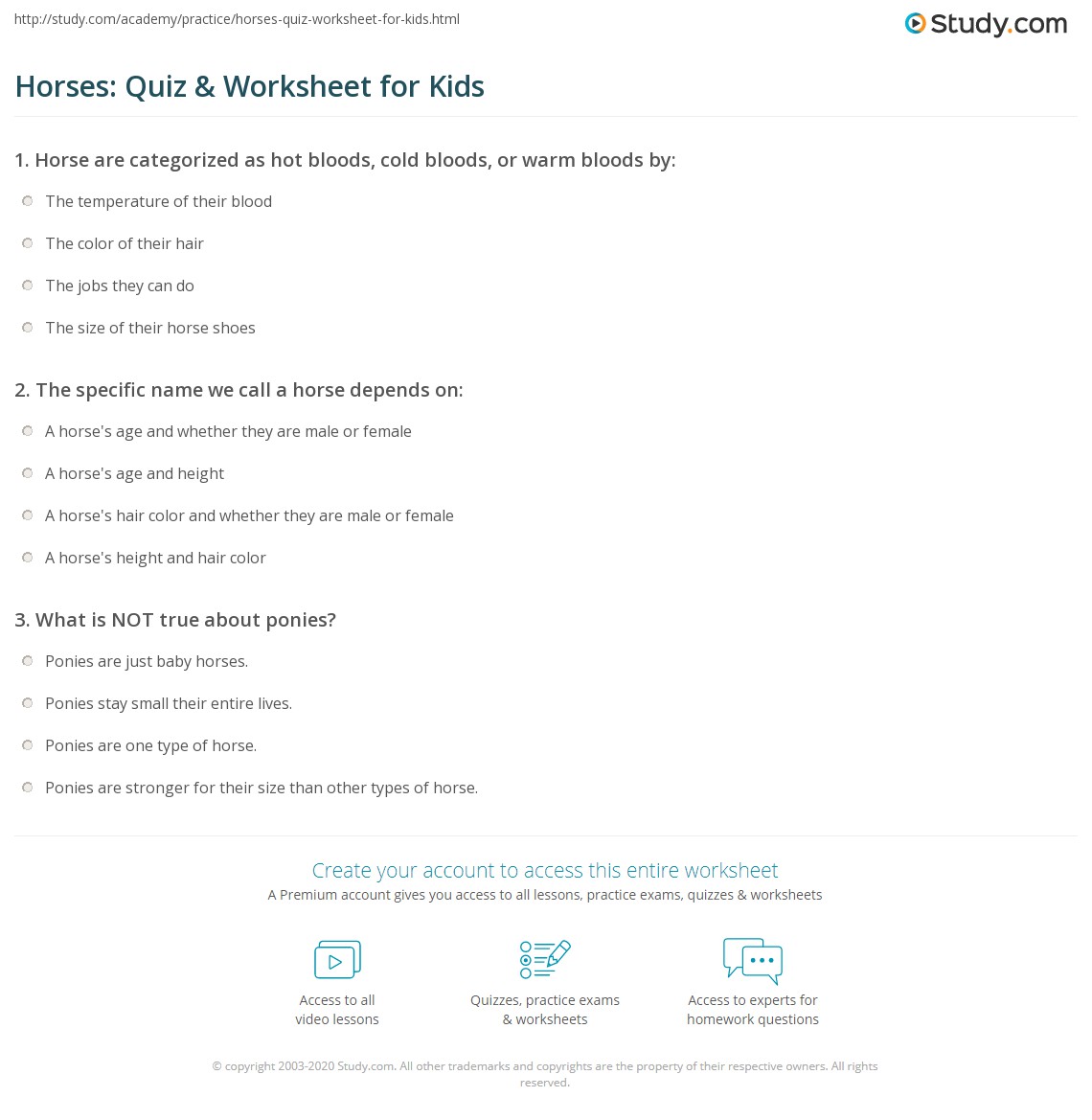 Horses: Quiz &  Worksheet for Kids | Study.com