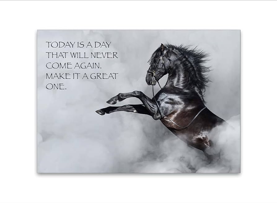 SOME HORSES WILL TEST YOU SOME WILL TEACH YOU AND SOME WILL BRING ...