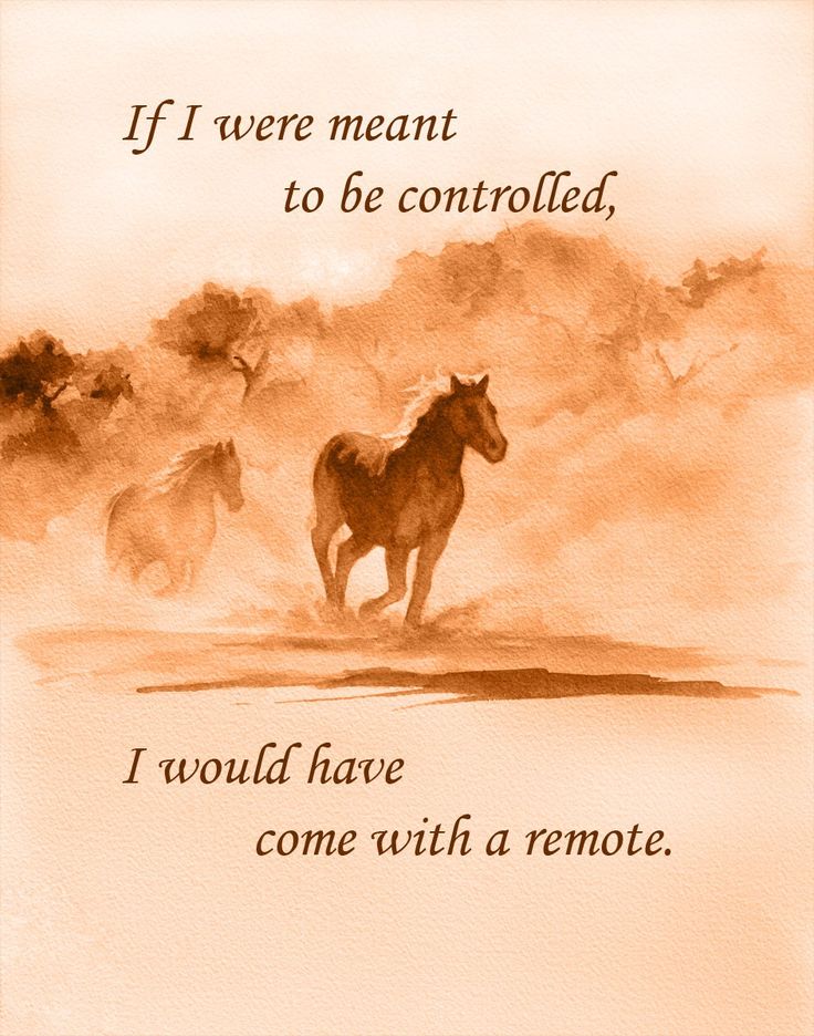 Horse Quotes Print, Gift For Horse Riders By Coulson Macleod
