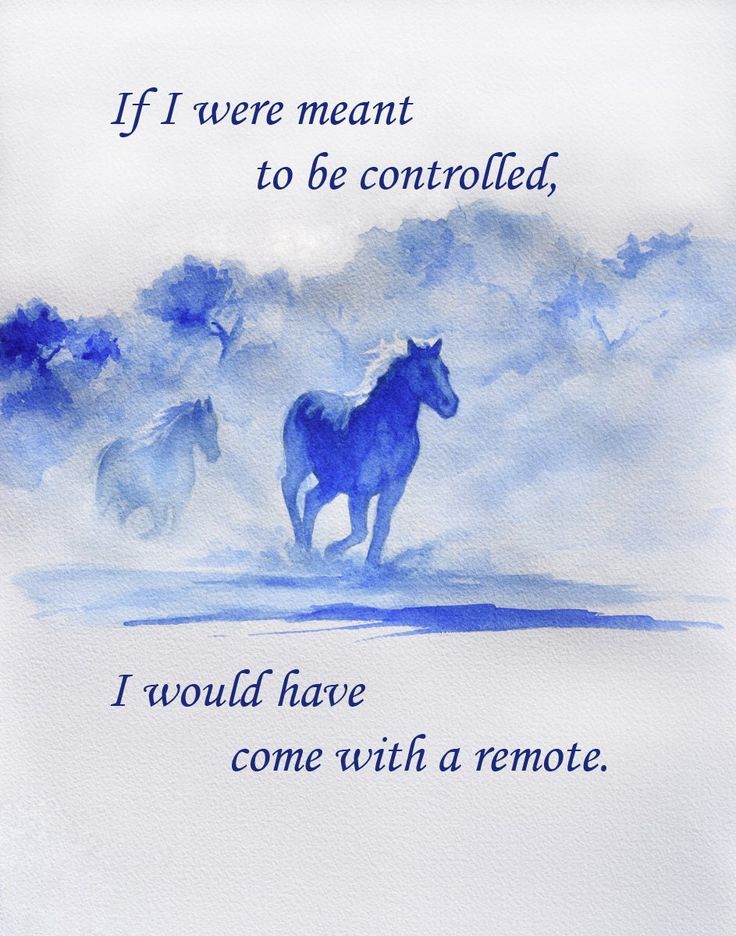 Inspirational Horse Quotes Canvas Art Print - Frameless Wall Decor For  Living Room, Bedroom, Office, And More - 12X16 Inches