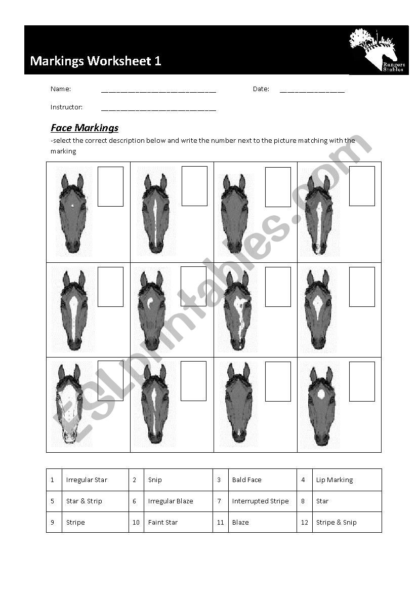 printable horse worksheet
