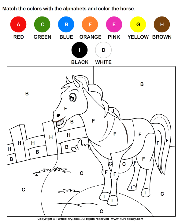 printable horse worksheet