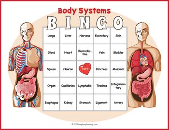 The Human Body Systems BINGO &  Fun Memory Matching Card Game ...