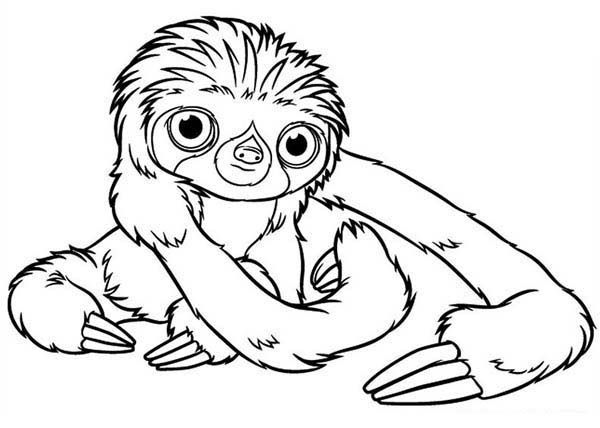 printable images of sloths