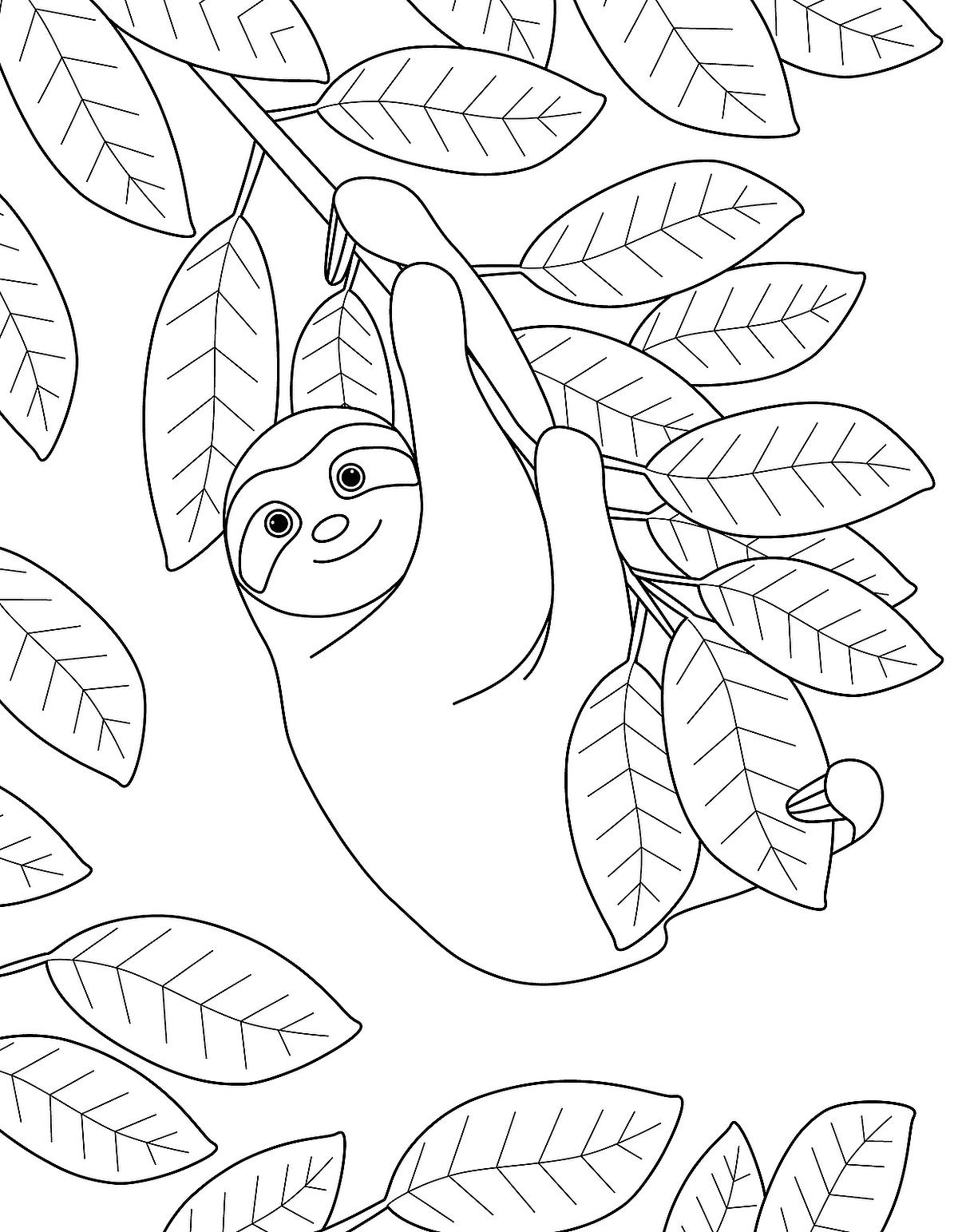 printable images of sloths