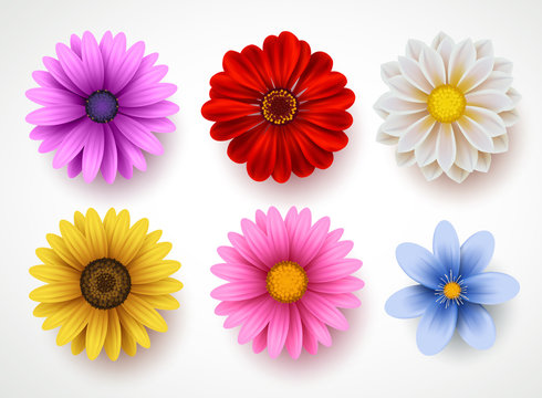 printable images of spring flowers