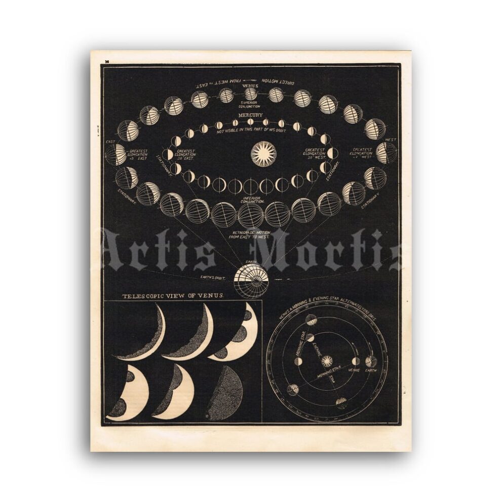 printable images of venus