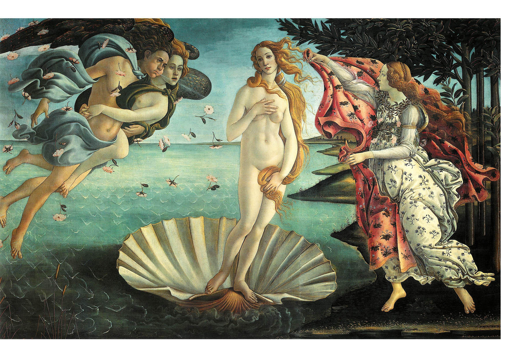 printable images of venus