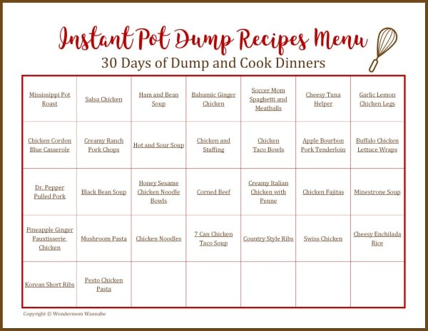 30 Days of Instant Pot Dump Recipes