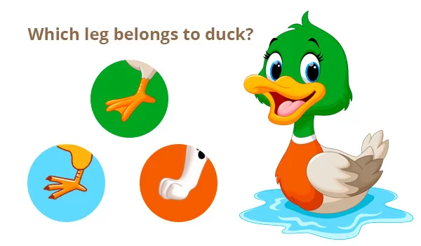 printable iq test for 4 year old
