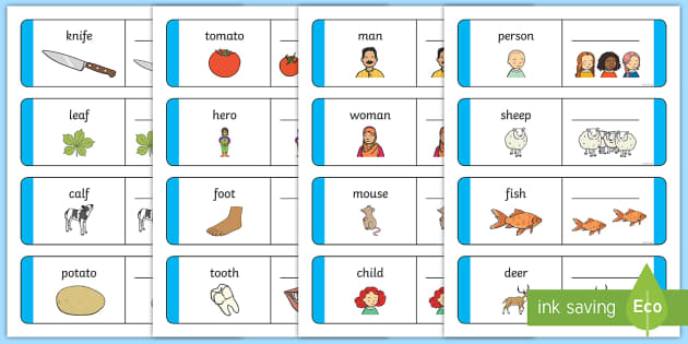 printable irregular plural nouns worksheet