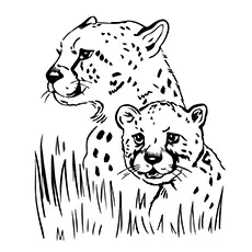 10 Best Free Printable Jaguar Coloring Pages For Little Ones
