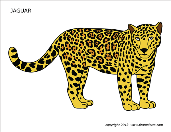 Jaguar | Free Printable Templates &  Coloring Pages | FirstPalette.com