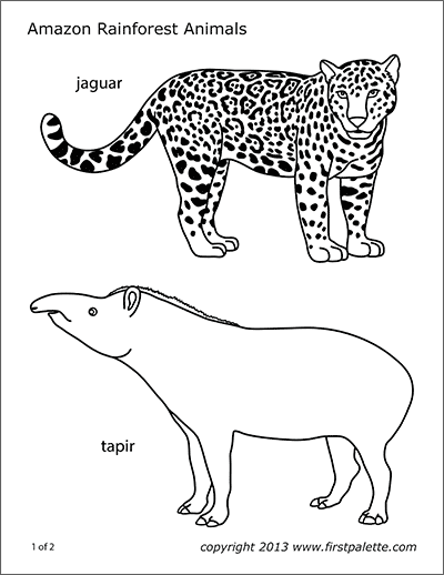 Jaguar | Free Printable Templates &  Coloring Pages