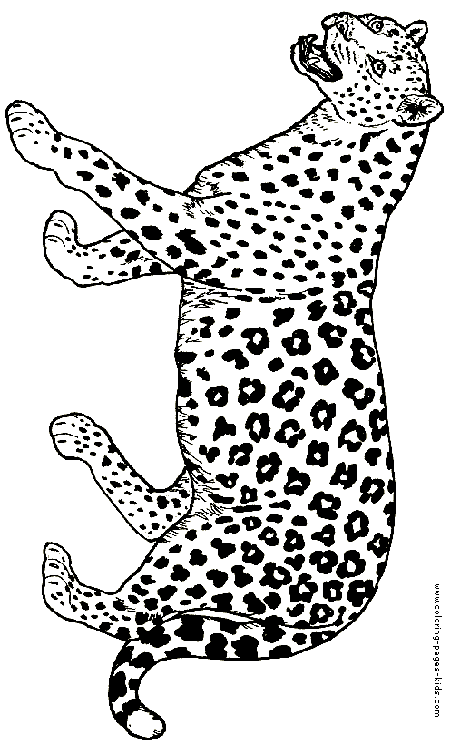 printable jaguar pictures