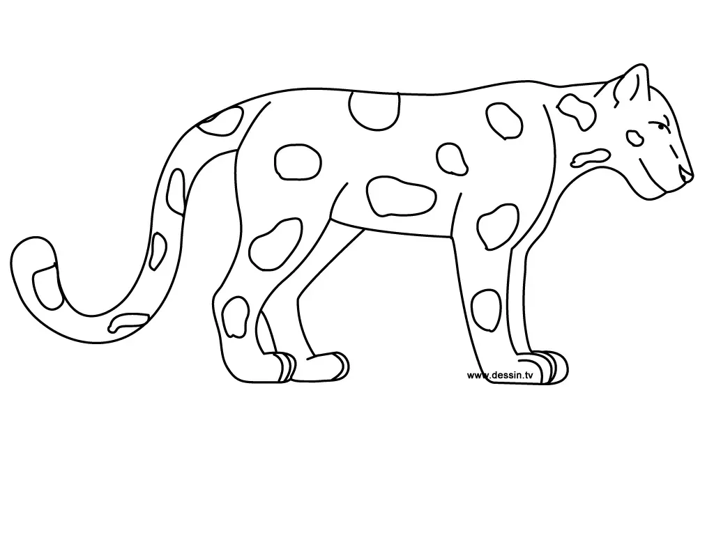 Jaguar Coloring Pages PDF Free For Children - Coloringfolder.com