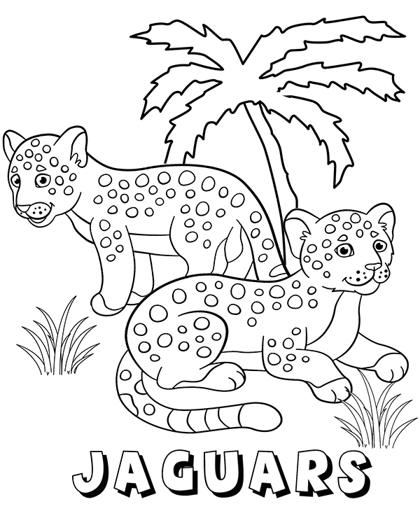 printable jaguar pictures