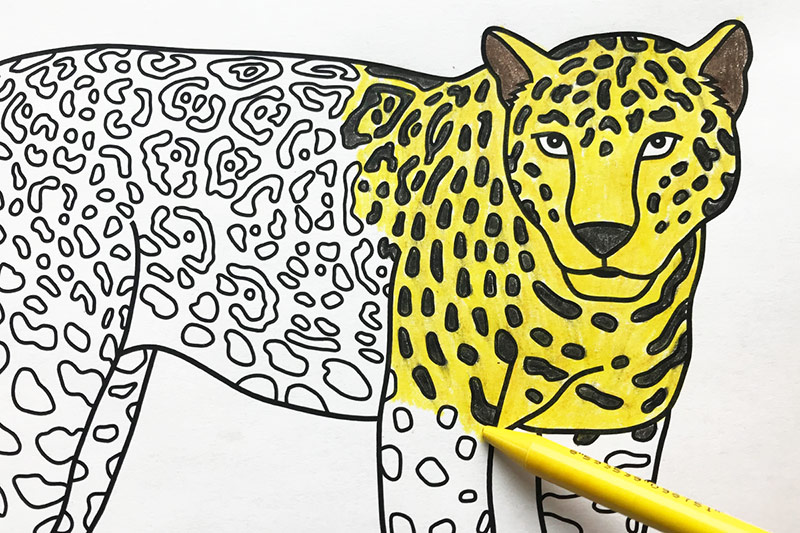 Jaguar | Free Printable Templates &  Coloring Pages | FirstPalette.com
